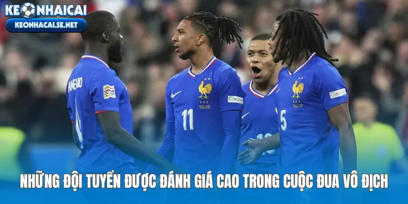 Những đội tuyển được đánh giá cao trong cuộc đua vô địch